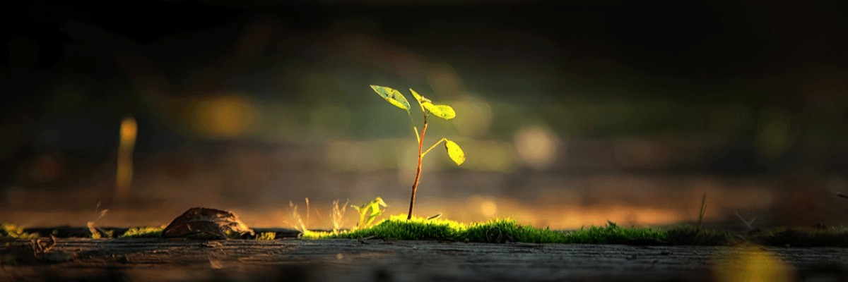 Samsung Business Monitors For a Greener, Smarter Future Samsung Business Monitors For a Greener, Smarter Future