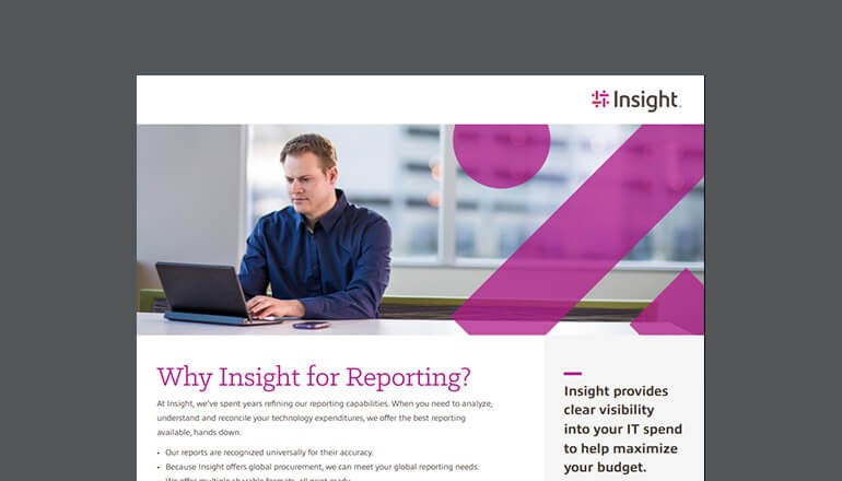 Insight.com Reporting datasheet cover