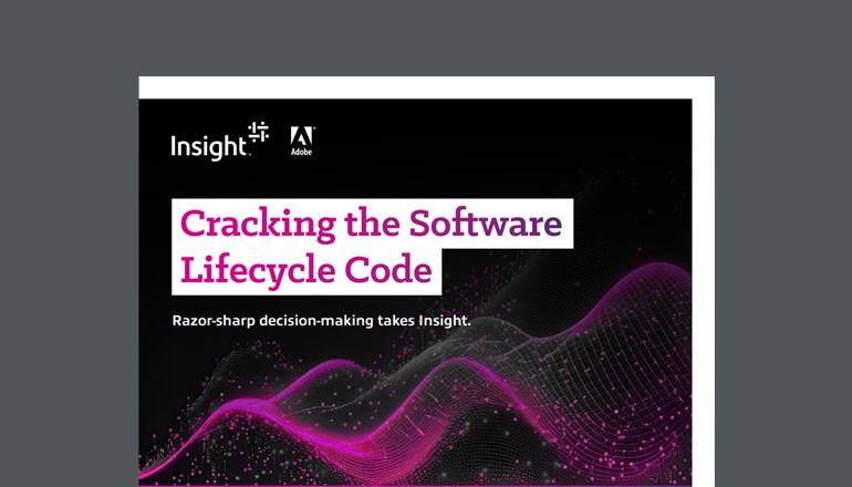 Cracking the Software Lifecycle Code Thumbnail of asset available to download below