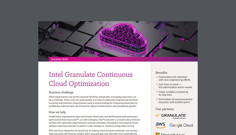 Intel Granulate Continuous Cloud Optimization Thumbnail of asset available to download below