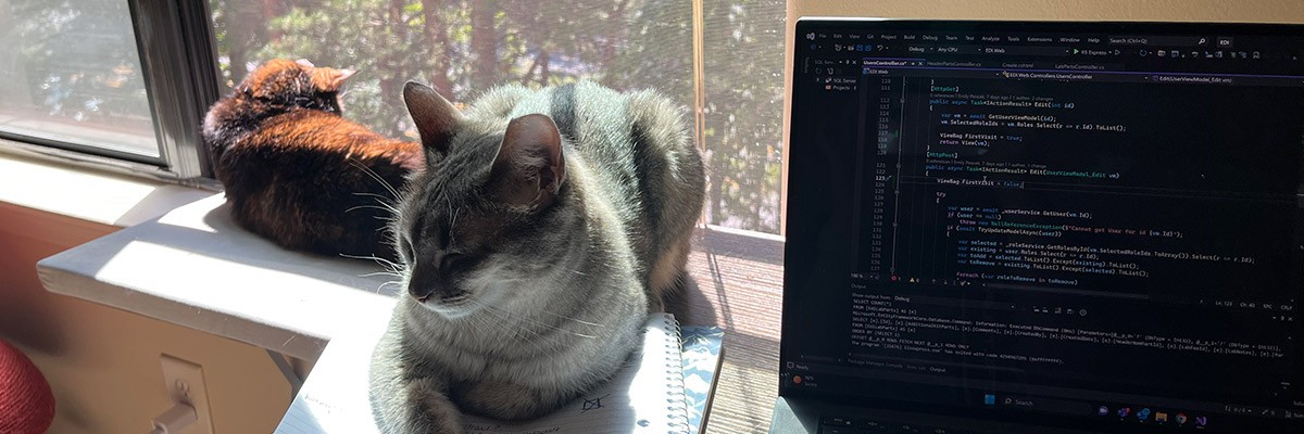 Emily Pencek Insight employee Emily Pencek workspace