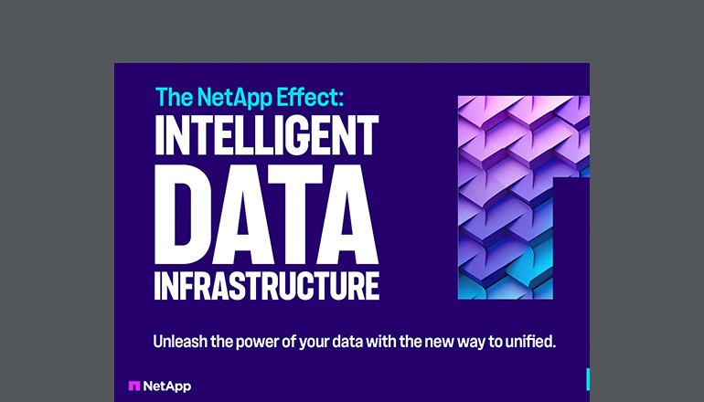 The NetApp Effect: Intelligent Data Infrastructure Thumbnail of asset available to download below
