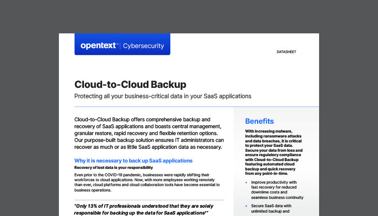 Cloud-to-Cloud Backup Thumbnail of asset available to download below