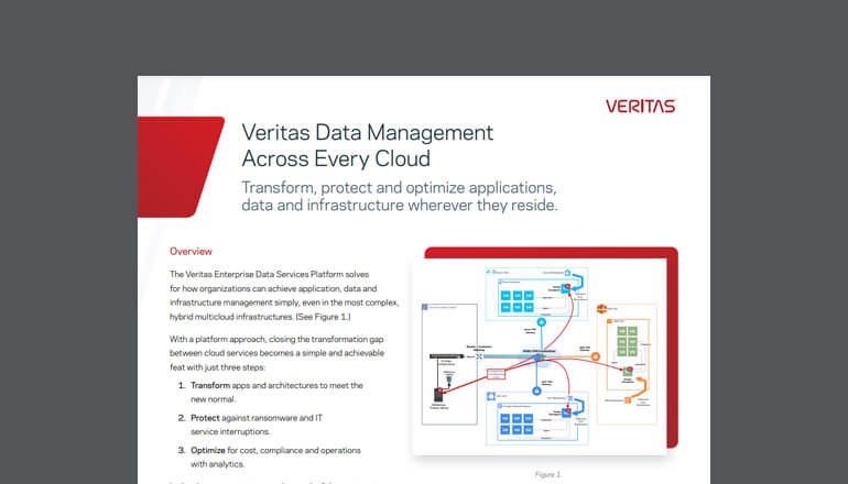 Veritas Data Management Across Every Cloud Thumbnail of asset available to download below