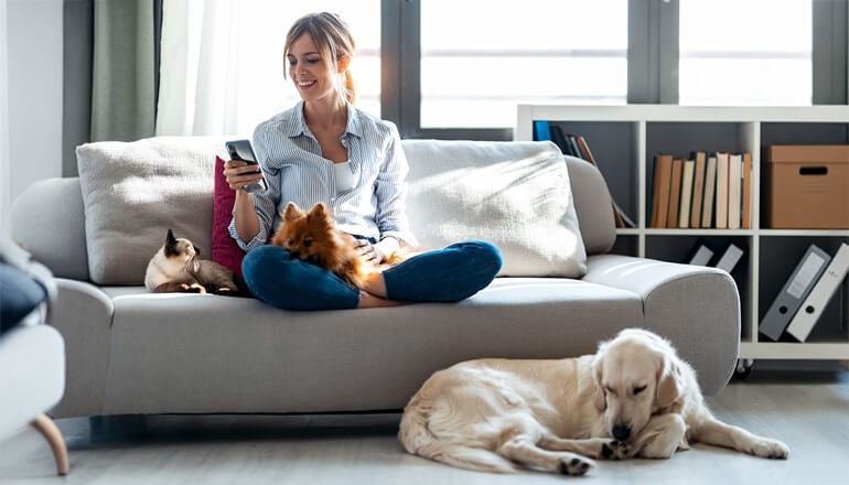 AI assistant helps pet owners manage their pets' health and wellbeing by offering expert guidance. Family cuddle with their pet dog while using AI assistant to check on pets health and wellbeing