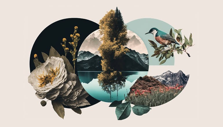 Adobe Creative Cloud webinar thumb graphic Adobe Creative Cloud webinar thumb graphic