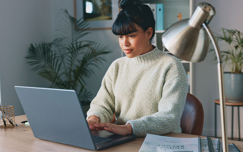 Exclaimer Standard Professional using laptop